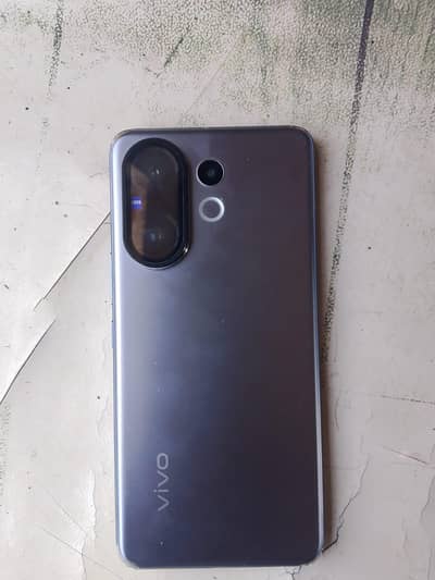vivo v60 12/256