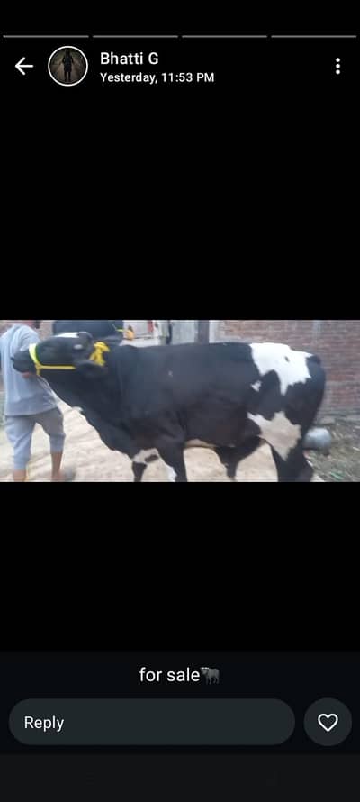 tajpura road qurbani ky liye