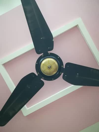 Ceiling fan for sale