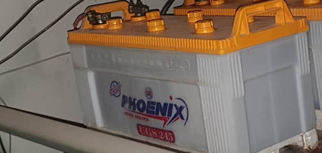 phoinex batterys do batterys hain total