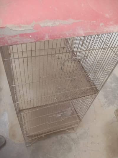 Birds Cage