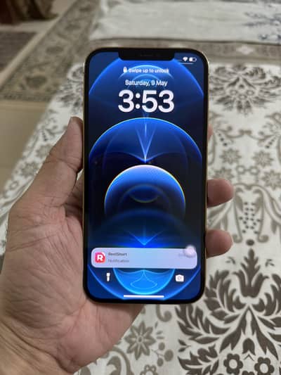 12 Pro Max 256GB
