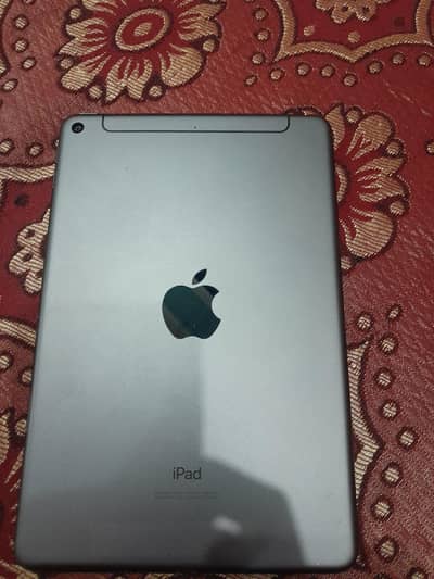 ipad mini 5 256 gb