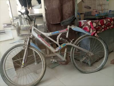 cycle