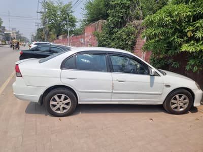 civic (cat eye)
