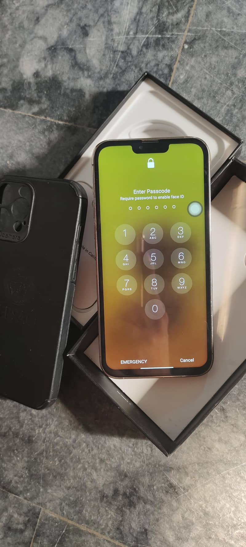iphone 13 pro max 1