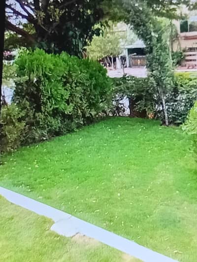 furnished villa for rent