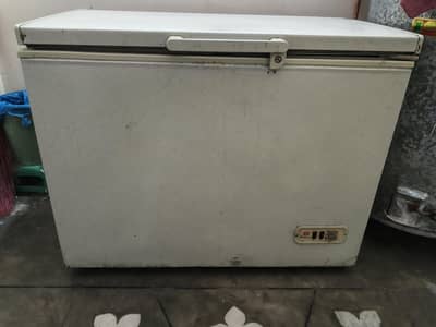 Dawlance Large size freezer sale