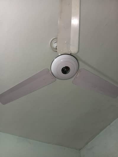 ceiling fans 56" GFC, PAK FAN, MEFCO, ROYAL