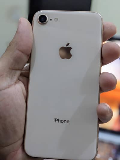 iphone 8 Pta approved
