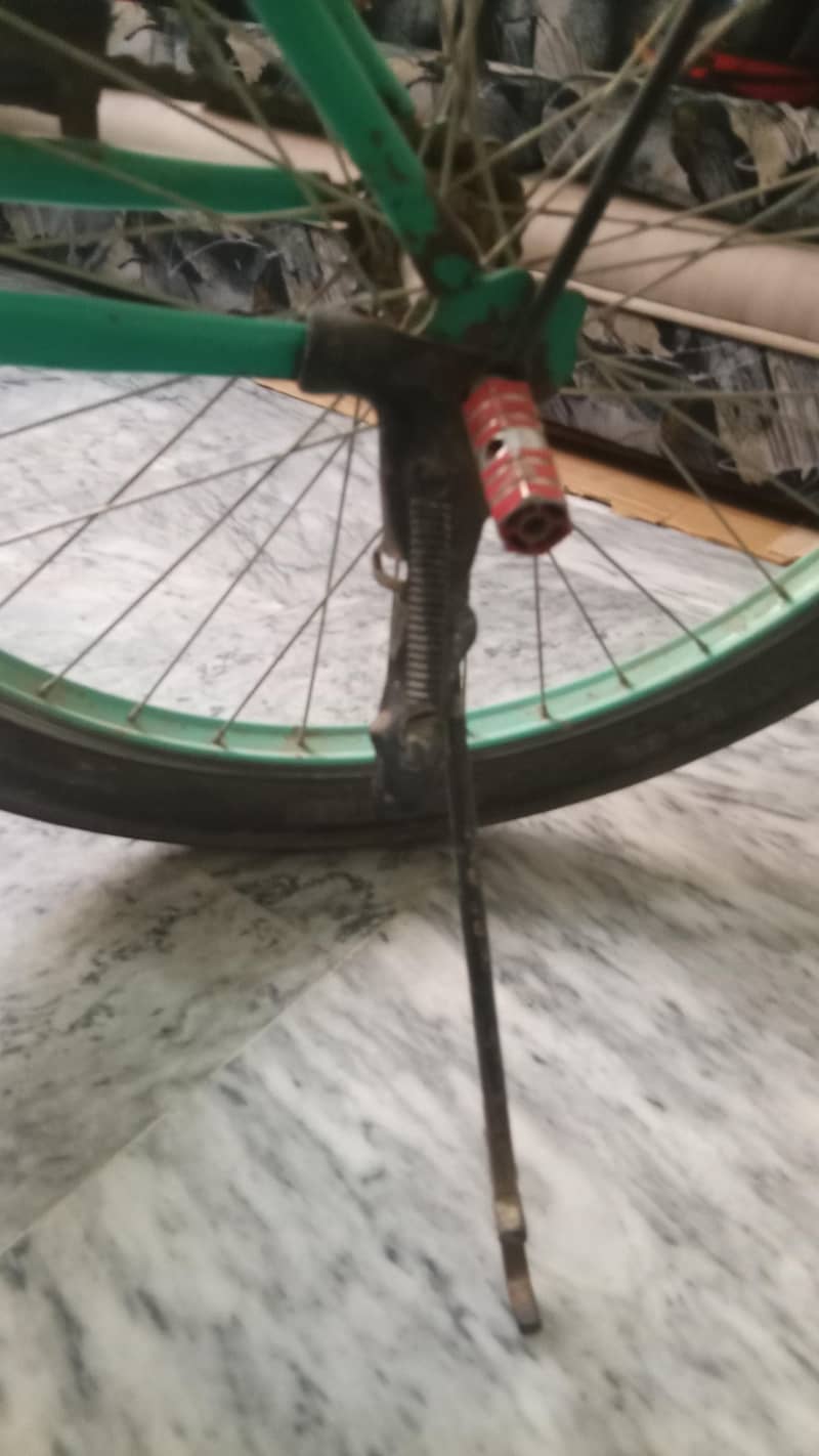 cycle 8