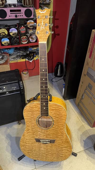 Daen Acoustic Guitar | Guitar | Acoustic Guitar | Beginners Guitar