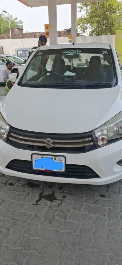 Cultus Car 2018