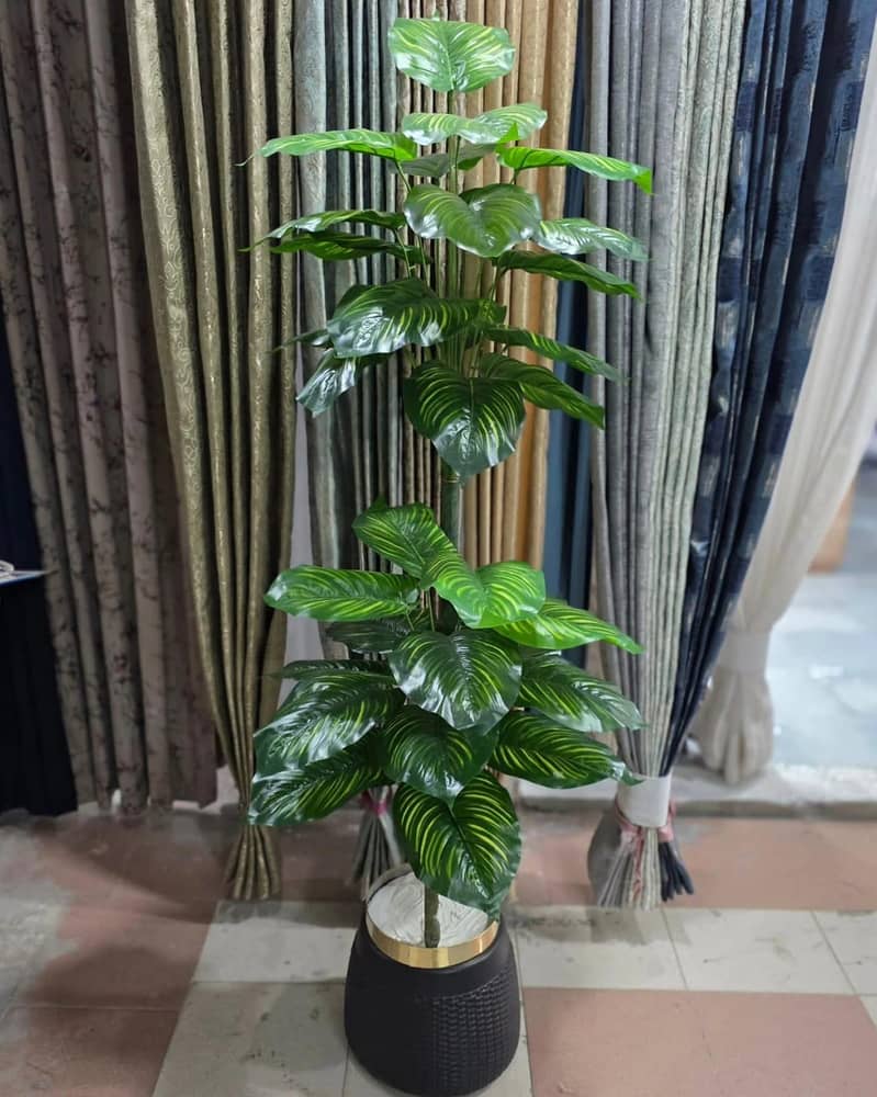 Online Store 9