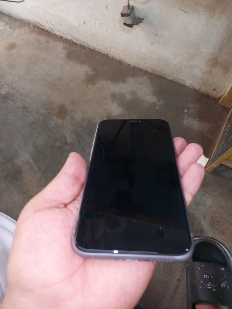iPhone 11 2