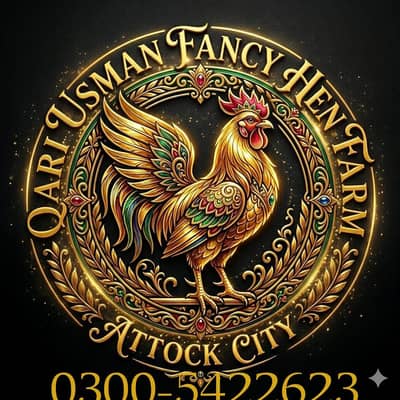 Fancy Hen Chicks