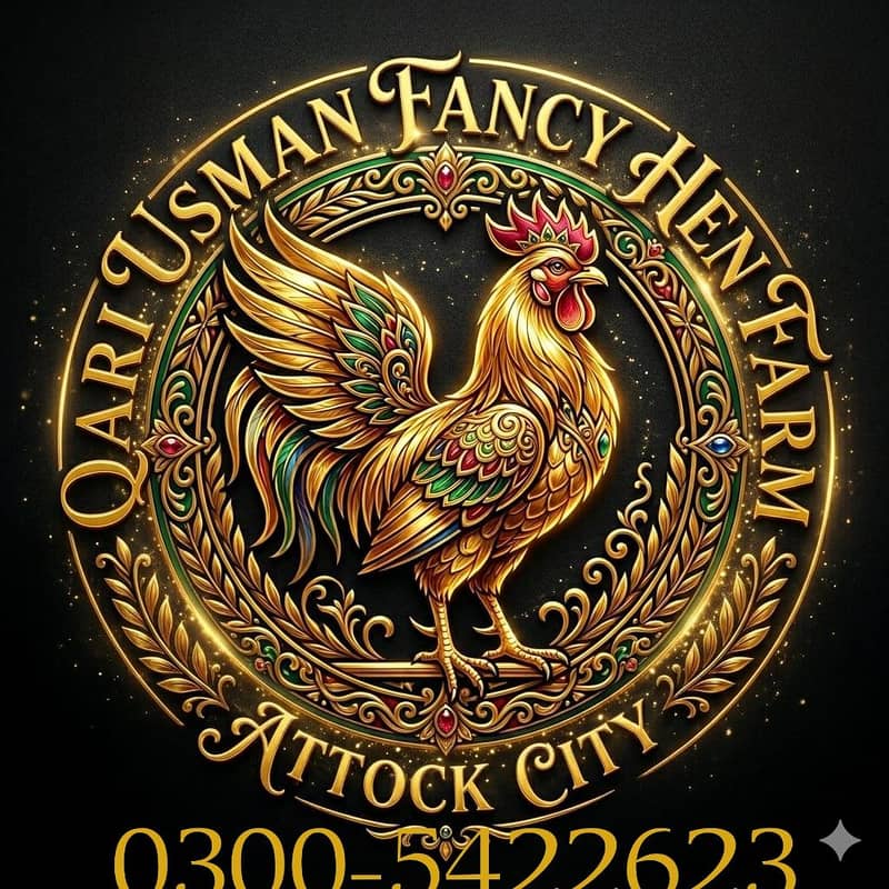 Fancy Hen Chicks 0