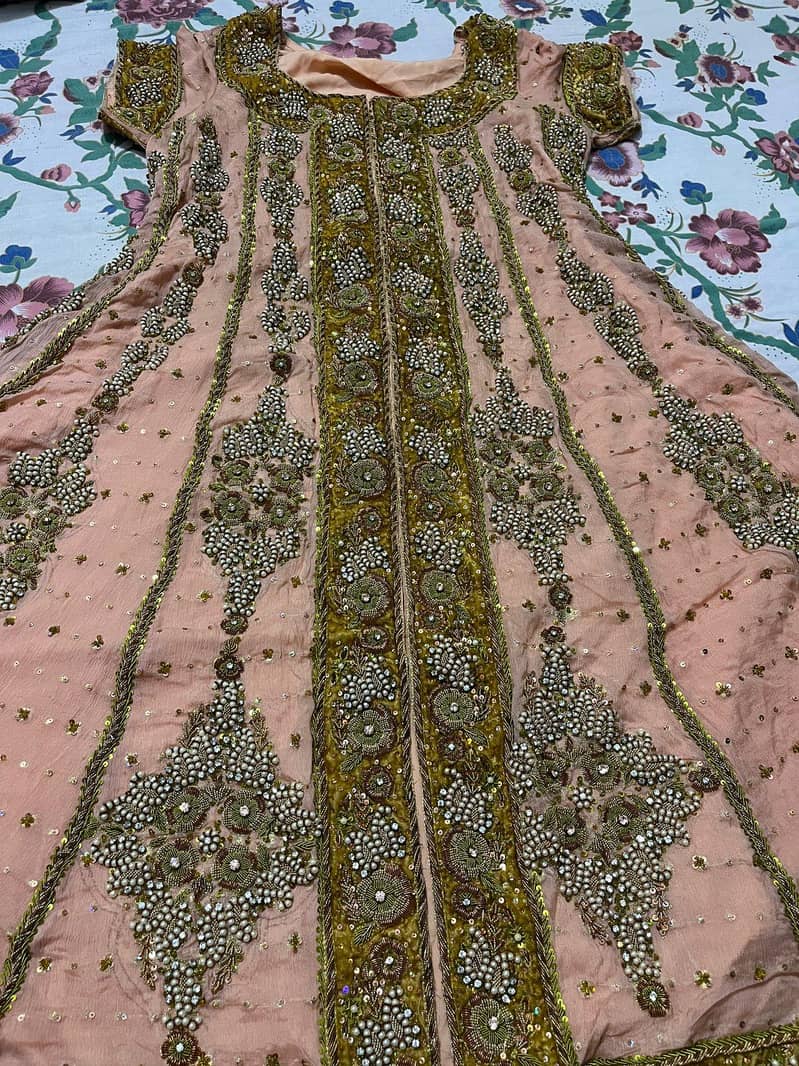 Walima Maxi 1