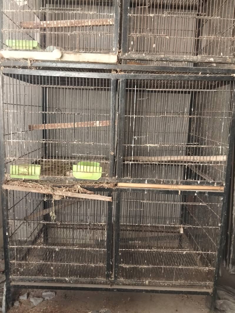 Pet Cage 2