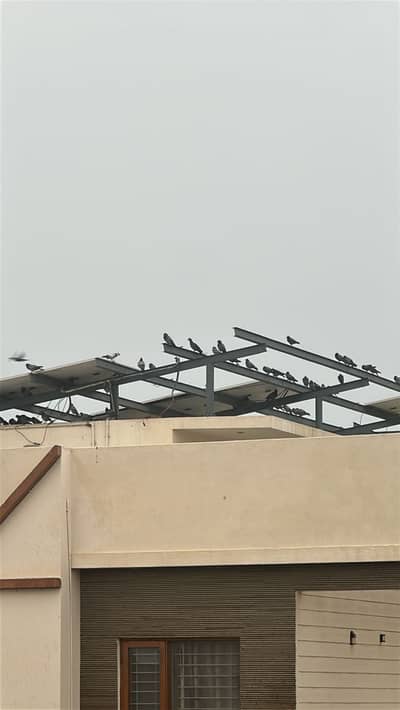 USED SOLAR PANELS FOR SALE LONGI 435W 12 PIECES