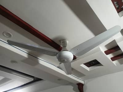 Sonex Ceiling Fan in excellent condition