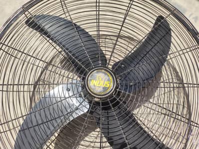 Indus ceiling fan