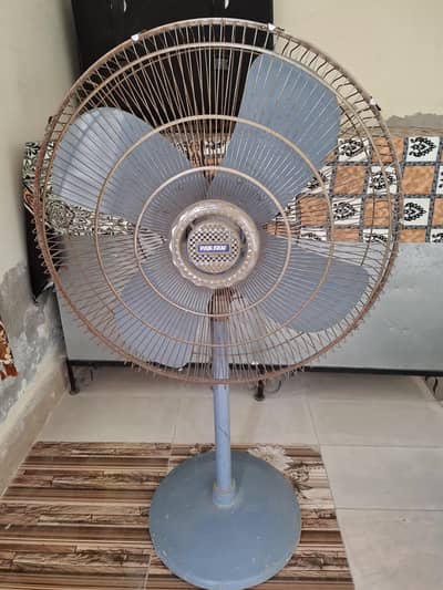 Pak Fan Full Size (Pedestal Fan)
