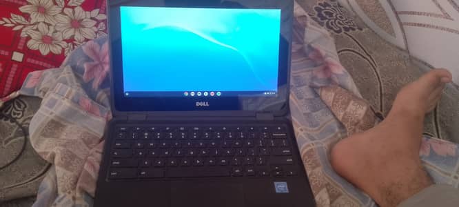 Chromebook 11 3189 brand Dell