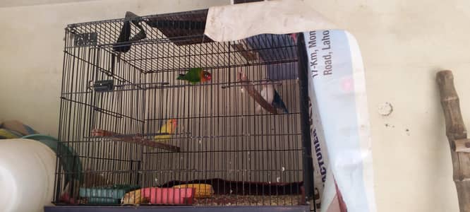 for sale cage b Sath hai new cage hai