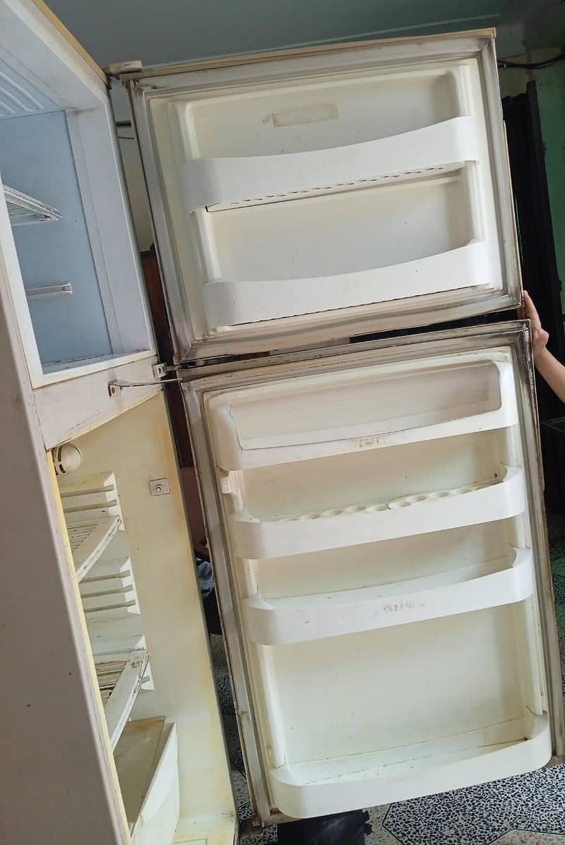 Fridge 1