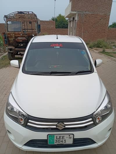Suzuki cultus