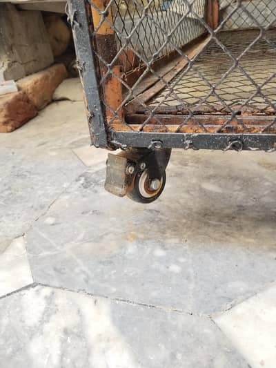Master Cage