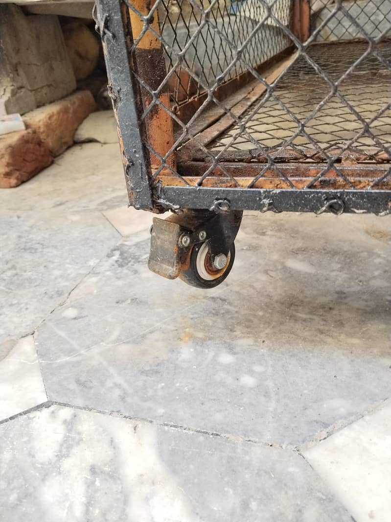 Master Cage 0