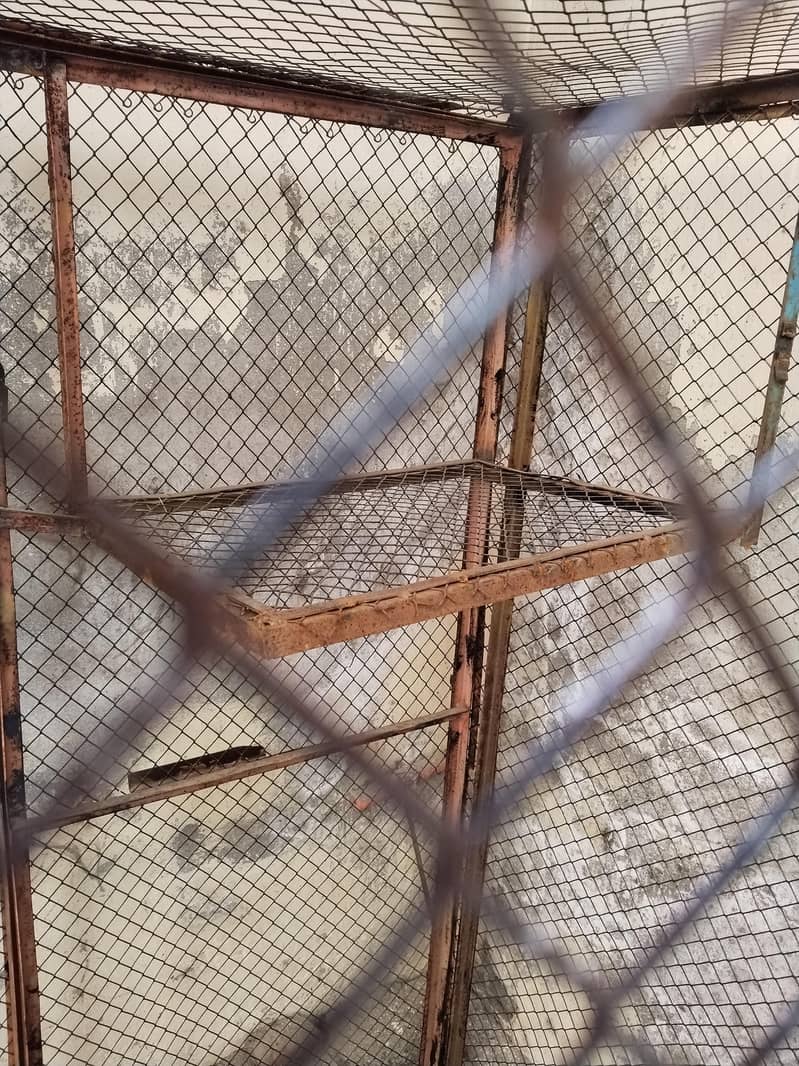 Master Cage 1