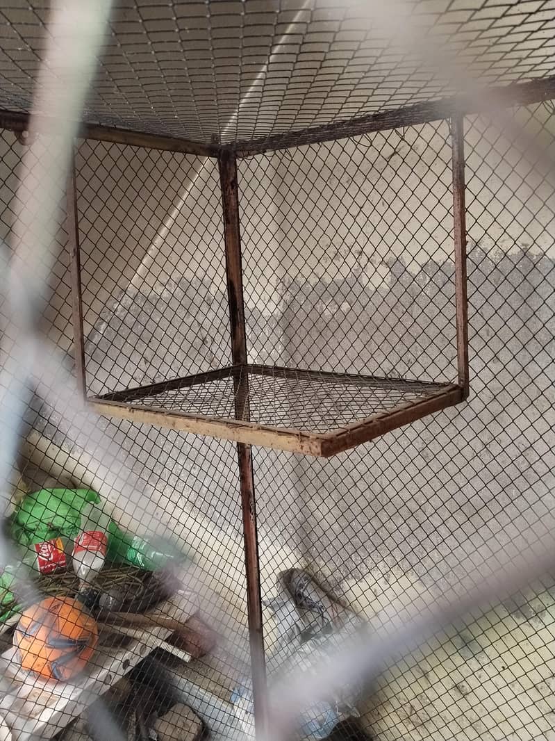 Master Cage 2