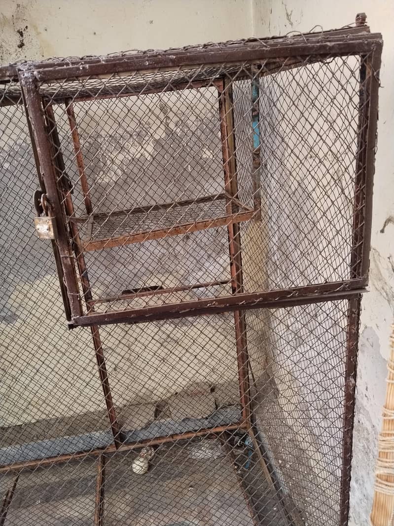Master Cage 3