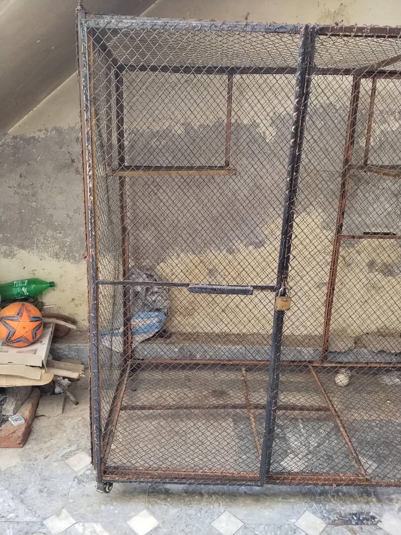 Master Cage 4