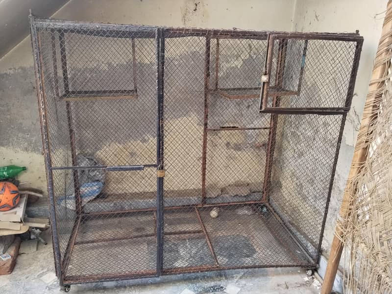Master Cage 5