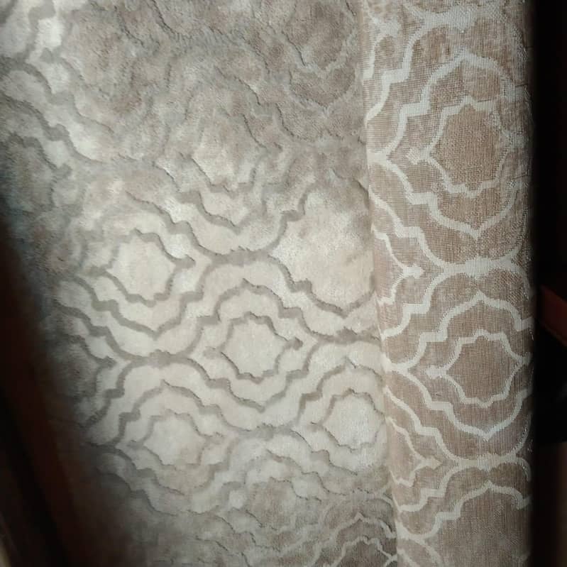 carpet 1