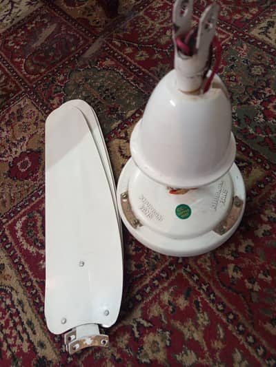 Fans good condition