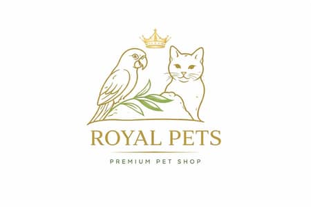 All Type Of Birds Animals Available 03051141169 What's App