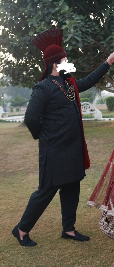 groom sherwani
