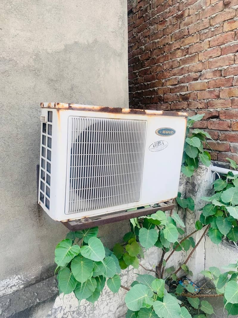 Orient 2