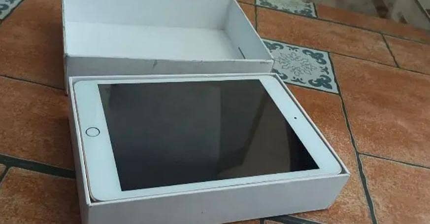 iPad Mini 5 1