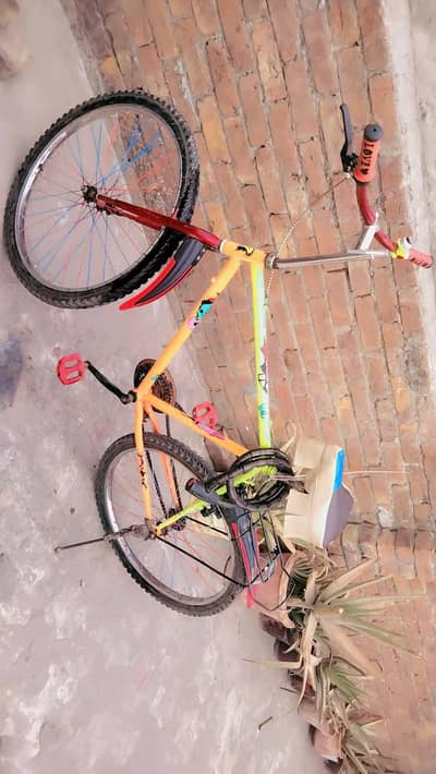 custom made cycle