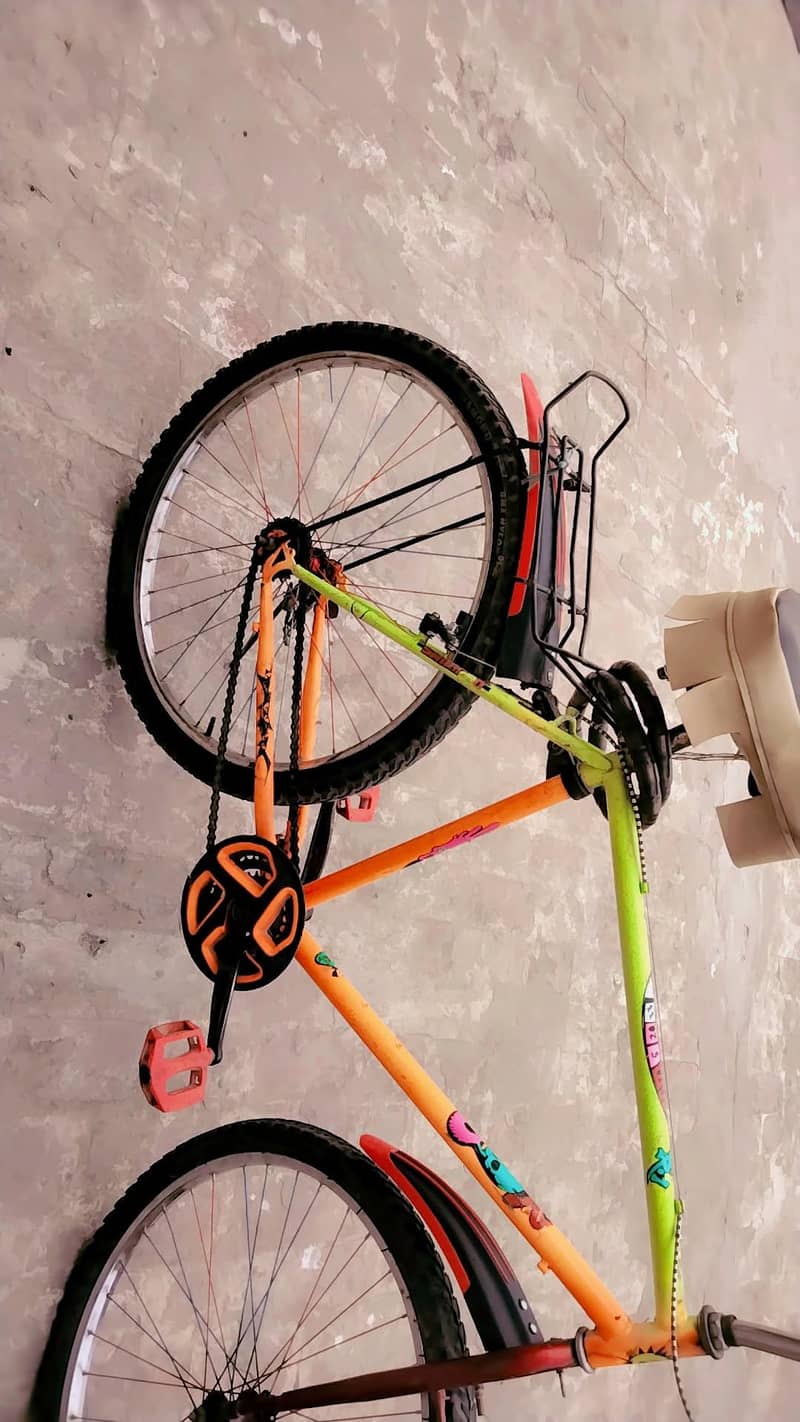 custom made cycle 1