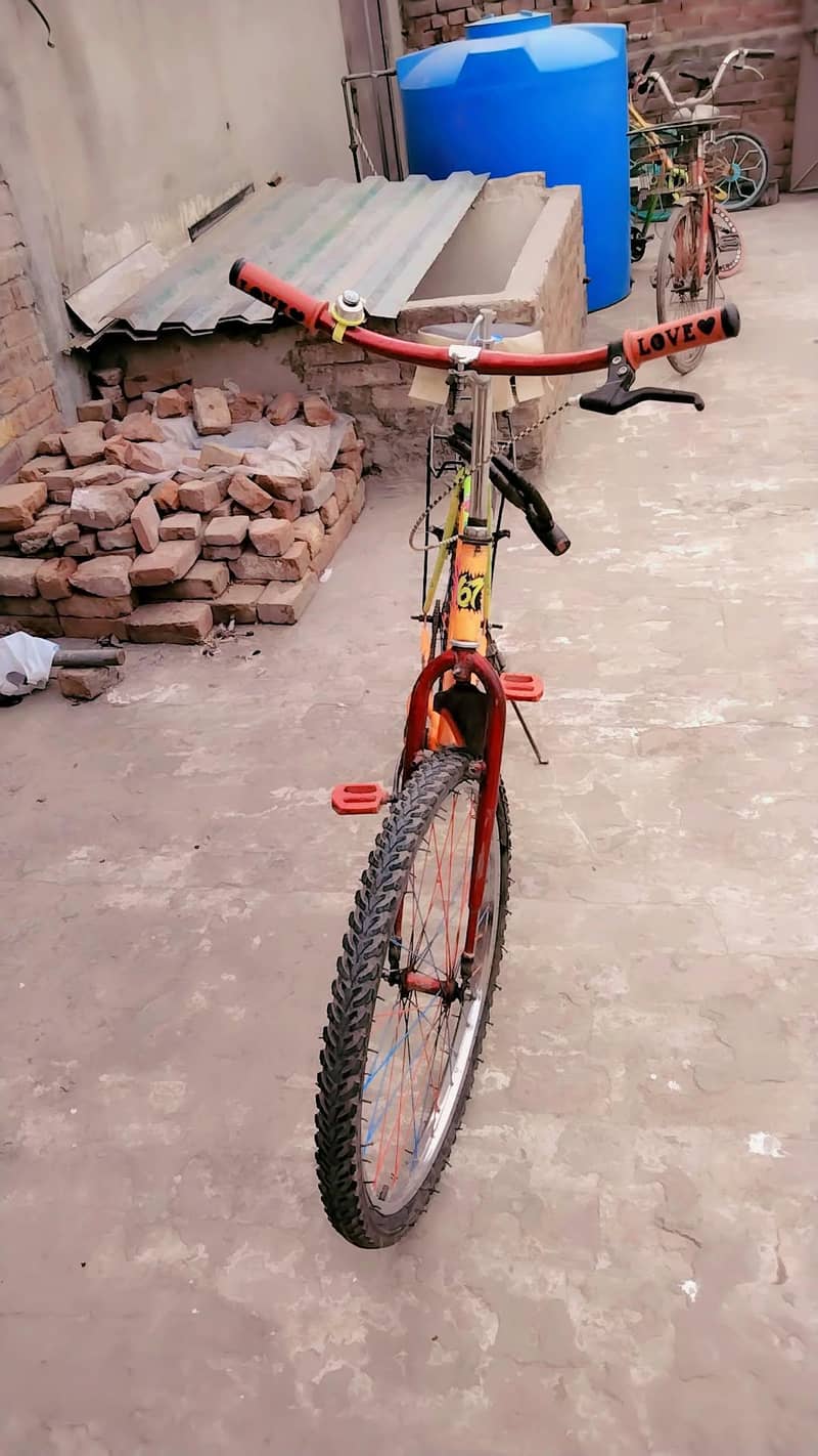 custom made cycle 2