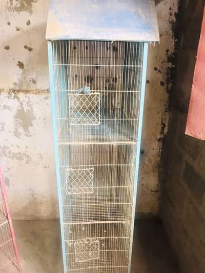 birds cage