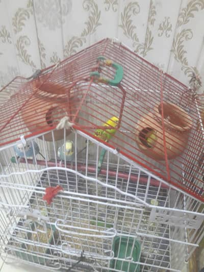 for sale
