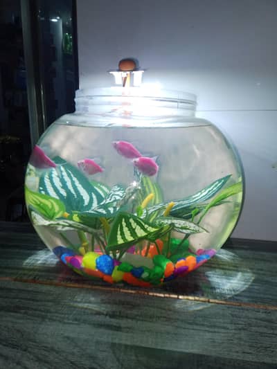 fish bowl